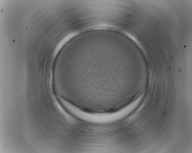 X0000065971418200603172039