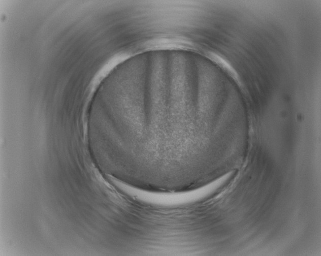 X0000065971419200603172039