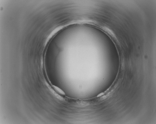 X0000065971420200603172039