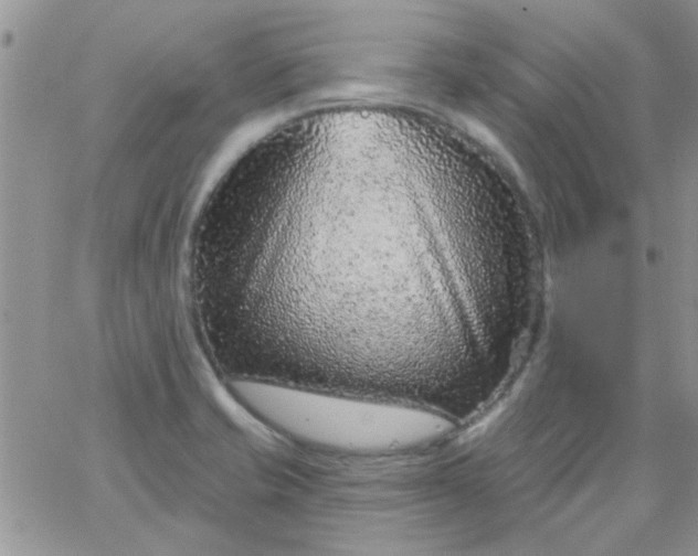 X0000065971421200603172039