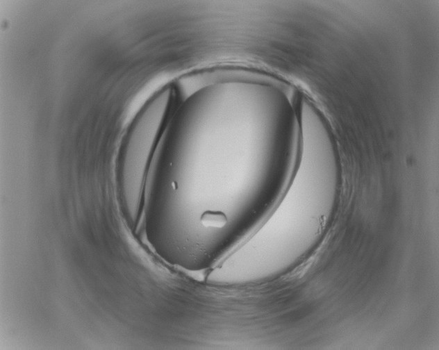 X0000065971422200603172039