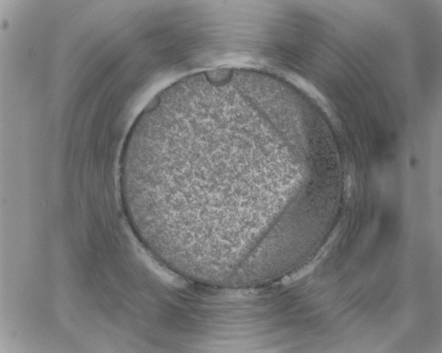 X0000065971423200603172039