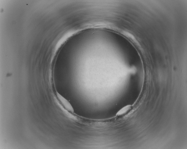 X0000065971424200603172039