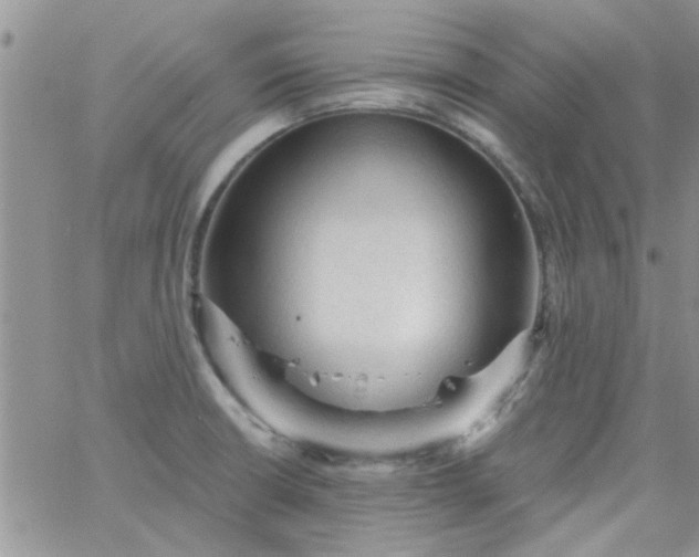 X0000065971426200603172039