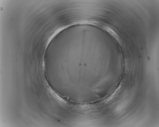 X0000065971428200603172039