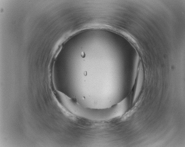 X0000065971430200603172039