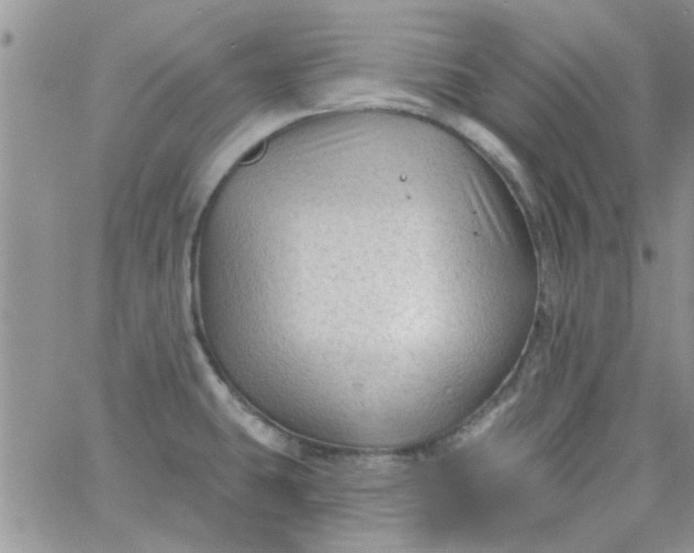 X0000065971431200603172039