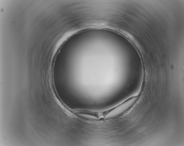 X0000065971432200603172039