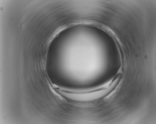 X0000065971433200603172039