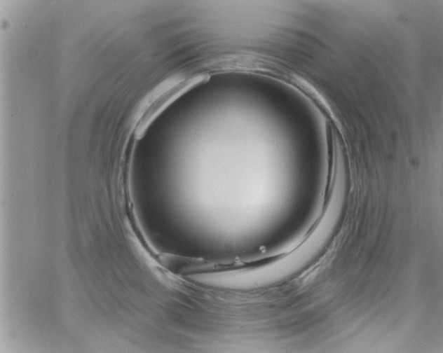 X0000065971434200603172039