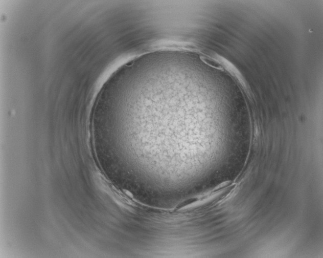 X0000065971435200603172039