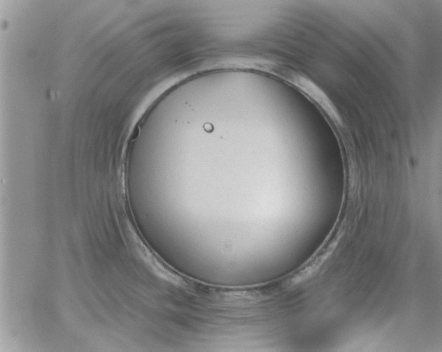 X0000065971436200603172039