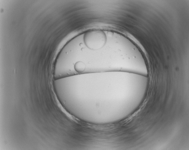 X0000065971437200603172039