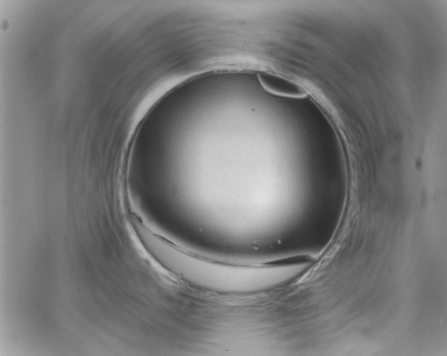 X0000065971440200603172039