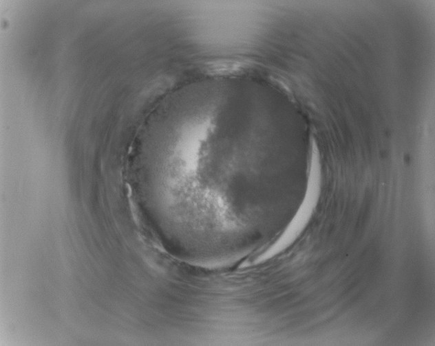 X0000065971441200603172038