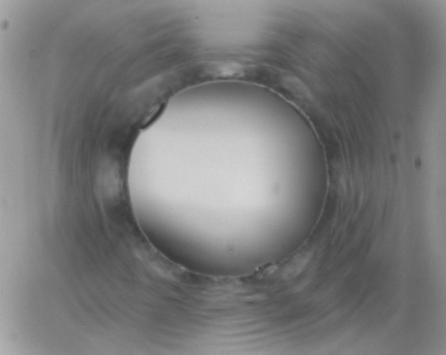 X0000065971442200603172038