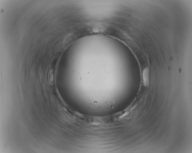 X0000065971443200603172038