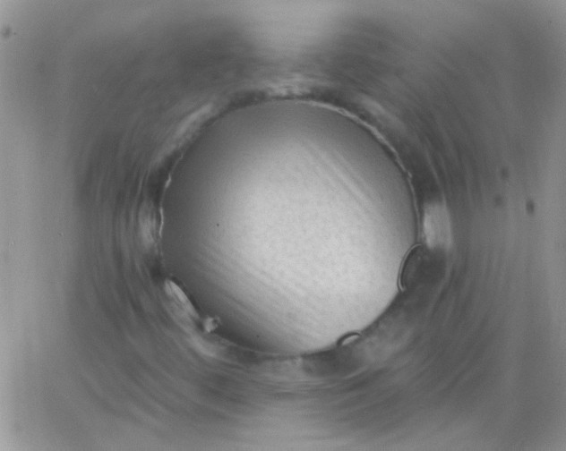 X0000065971444200603172038