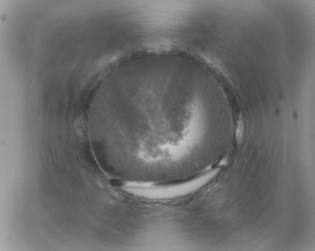 X0000065971445200603172038