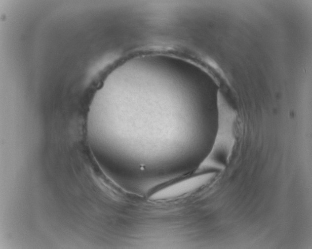 X0000065971448200603172038