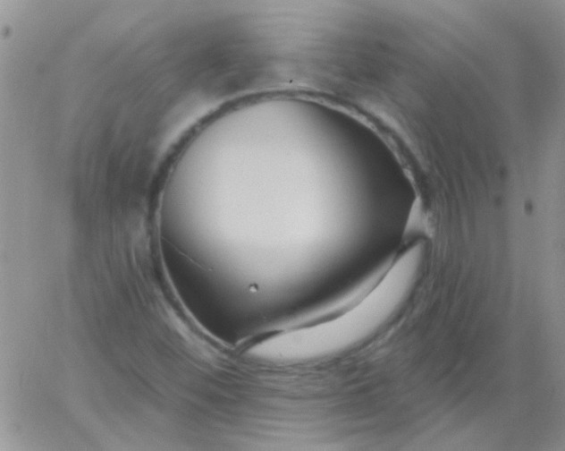 X0000065971452200603172038