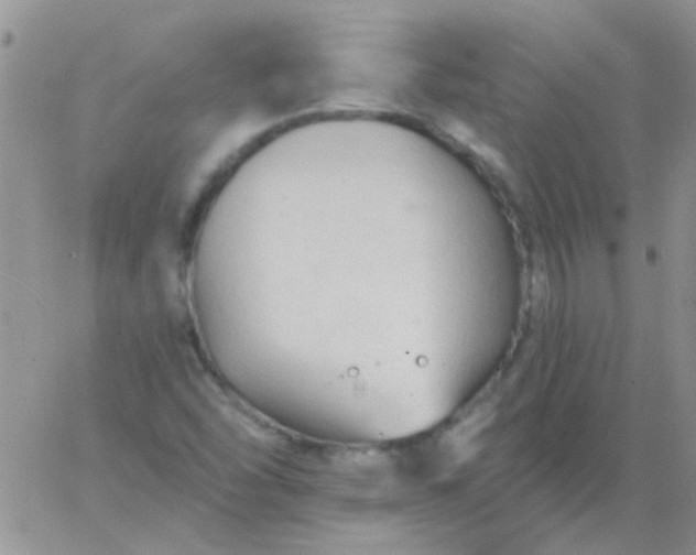 X0000065971454200603172038