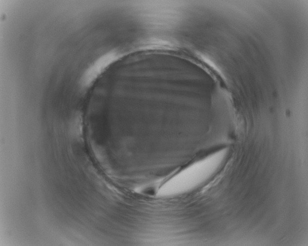 X0000065971455200603172038