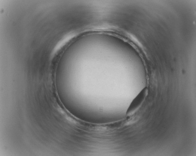 X0000065971456200603172038