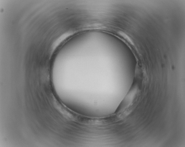 X0000065971458200603172038