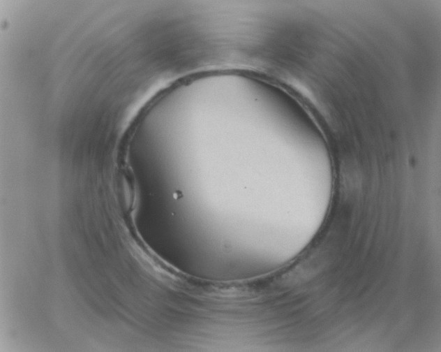 X0000065971460200603172038