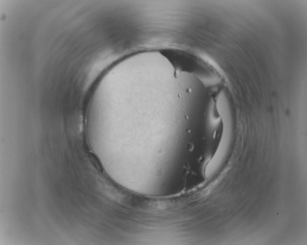 X0000065971461200603172038