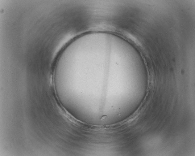 X0000065971462200603172038