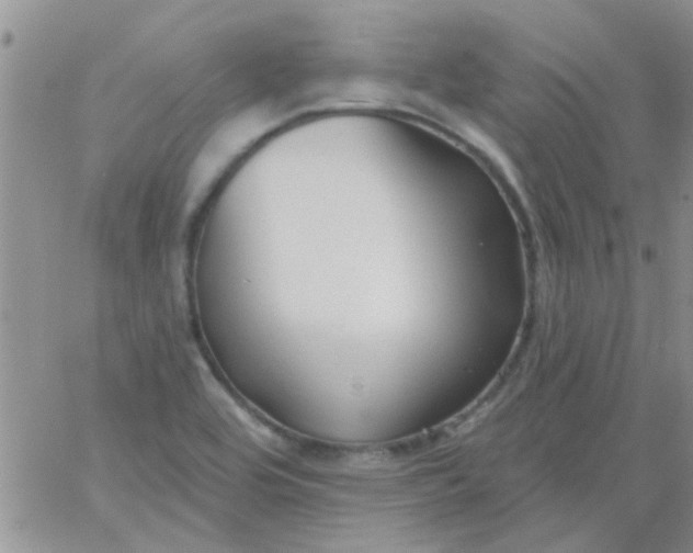 X0000065971464200603172038