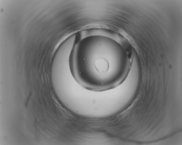 X0000065971465200603172038