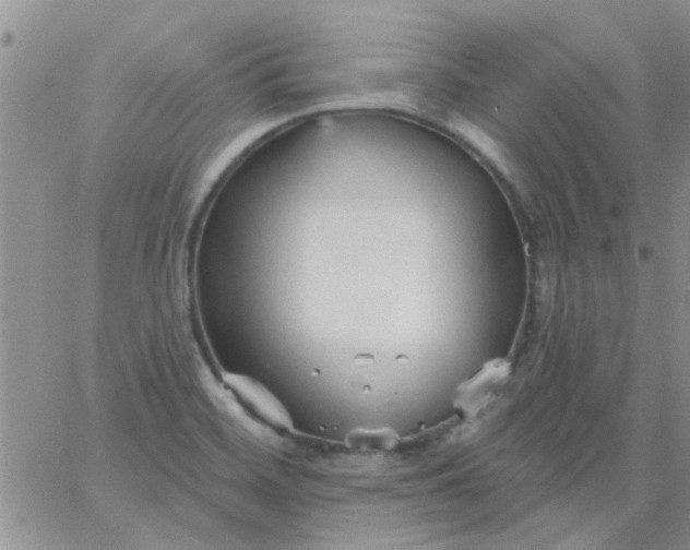 X0000065971468200603172038