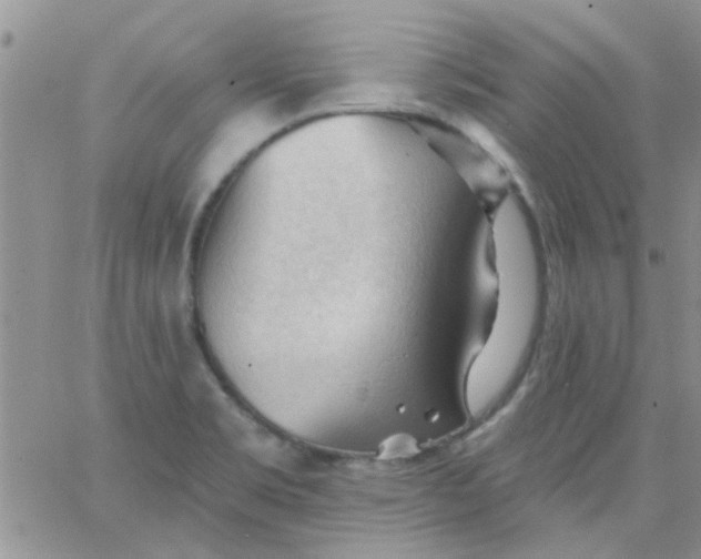 X0000065971469200603172038