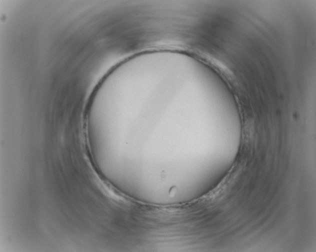 X0000065971470200603172038