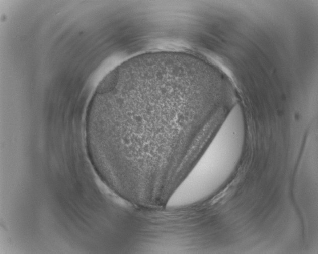 X0000065971471200603172038