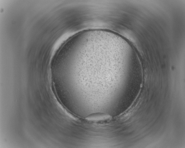 X0000065971472200603172038