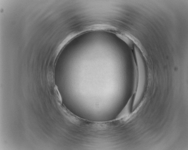 X0000065971473200603172038