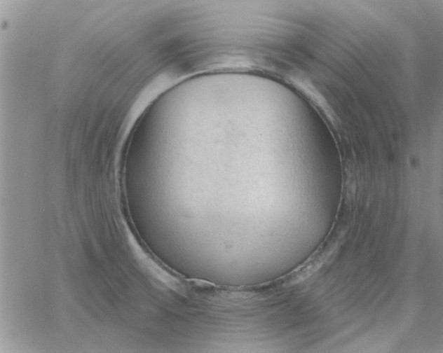 X0000065971475200603172038