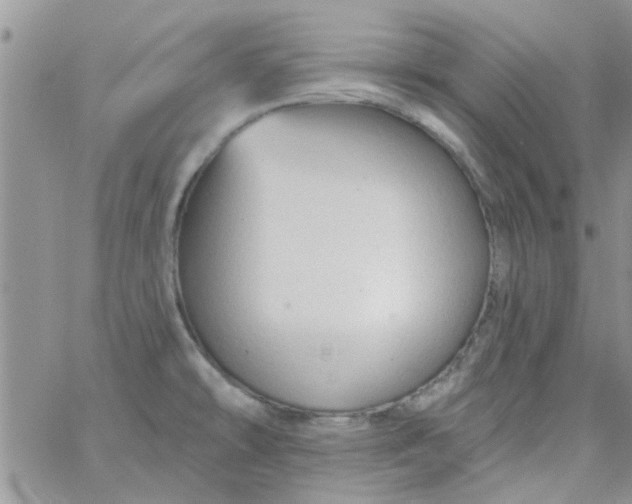 X0000065971478200603172038