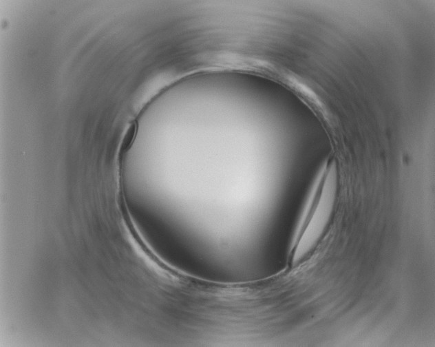 X0000065971479200603172038