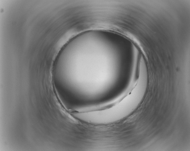 X0000065971480200603172038