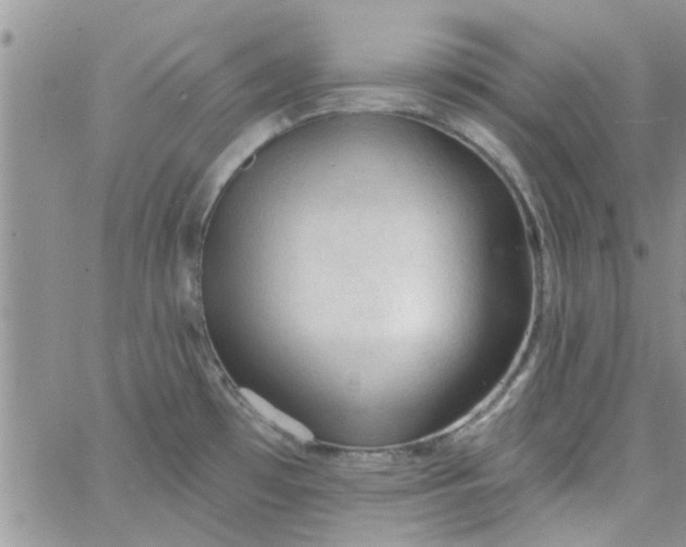 X0000065971481200603172038