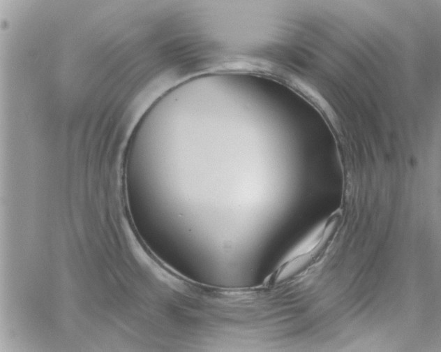 X0000065971483200603172038