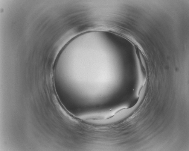 X0000065971484200603172038