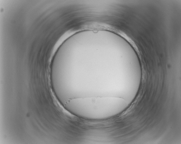 X0000065971486200603172037