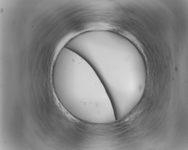 X0000065971488200603172037