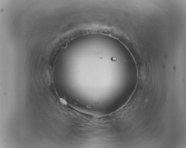 X0000065971493200603172037